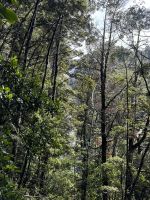 Tongairo  &ndash; &copy; Francisco Javier Burgos Gutierrez (Eberhardt TRAVEL)