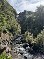 Tongairo  &ndash; &copy; Francisco Javier Burgos Gutierrez (Eberhardt TRAVEL)
