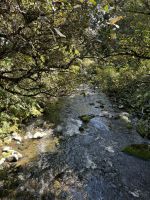 Tongairo  &ndash; &copy; Francisco Javier Burgos Gutierrez (Eberhardt TRAVEL)