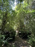Tongairo  &ndash; &copy; Francisco Javier Burgos Gutierrez (Eberhardt TRAVEL)
