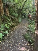 Tongairo  &ndash; &copy; Francisco Javier Burgos Gutierrez (Eberhardt TRAVEL)