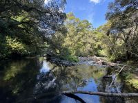 Tongairo  &ndash; &copy; Francisco Javier Burgos Gutierrez (Eberhardt TRAVEL)