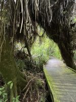 Nga Manu  &ndash; &copy; Francisco Javier Burgos Gutierrez (Eberhardt TRAVEL)