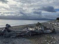 Kapiti Island  &ndash; &copy; Francisco Javier Burgos Gutierrez (Eberhardt TRAVEL)