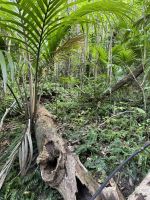Kapiti Island  &ndash; &copy; Francisco Javier Burgos Gutierrez (Eberhardt TRAVEL)