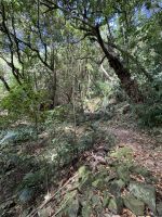 Kapiti Island &ndash; &copy; Francisco Javier Burgos Gutierrez (Eberhardt TRAVEL)