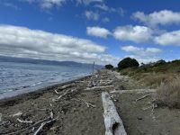 Kapiti Island  &ndash; &copy; Francisco Javier Burgos Gutierrez (Eberhardt TRAVEL)