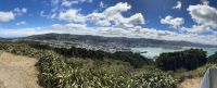 Wellington  &ndash; &copy; Francisco Javier Burgos Gutierrez (Eberhardt TRAVEL)