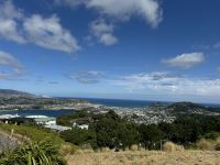 Wellington &ndash; &copy; Francisco Javier Burgos Gutierrez (Eberhardt TRAVEL)