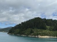 Fahrt zur Südinsel  &ndash; &copy; Francisco Javier Burgos Gutierrez (Eberhardt TRAVEL)