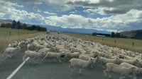 Malborough  &ndash; &copy; Francisco Javier Burgos Gutierrez (Eberhardt TRAVEL)