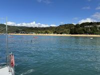 Abel Tasman &ndash; &copy; Francisco Javier Burgos Gutierrez (Eberhardt TRAVEL)