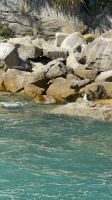 Abel Tasman  &ndash; &copy; Francisco Javier Burgos Gutierrez (Eberhardt TRAVEL)