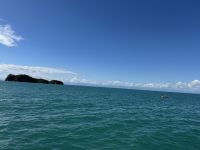 Abel Tasman &ndash; &copy; Francisco Javier Burgos Gutierrez (Eberhardt TRAVEL)