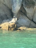 Abel Tasman &ndash; &copy; Francisco Javier Burgos Gutierrez (Eberhardt TRAVEL)