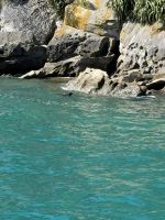Abel Tasman  &ndash; &copy; Francisco Javier Burgos Gutierrez (Eberhardt TRAVEL)