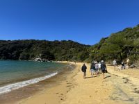 Abel Tasman &ndash; &copy; Francisco Javier Burgos Gutierrez (Eberhardt TRAVEL)