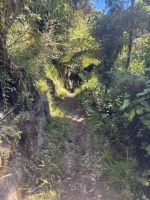 Abel Tasman  &ndash; &copy; Francisco Javier Burgos Gutierrez (Eberhardt TRAVEL)