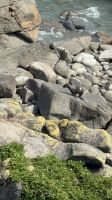 Cape Foulwind  &ndash; &copy; Francisco Javier Burgos Gutierrez (Eberhardt TRAVEL)
