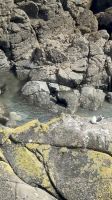 Cape Foulwind &ndash; &copy; Francisco Javier Burgos Gutierrez (Eberhardt TRAVEL)