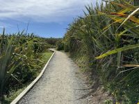 Cape Foulwind  &ndash; &copy; Francisco Javier Burgos Gutierrez (Eberhardt TRAVEL)
