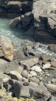 Cape Foulwind  &ndash; &copy; Francisco Javier Burgos Gutierrez (Eberhardt TRAVEL)