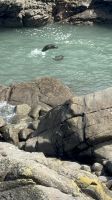 Cape Foulwind  &ndash; &copy; Francisco Javier Burgos Gutierrez (Eberhardt TRAVEL)