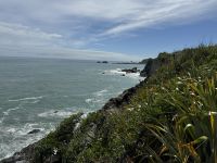 Cape Foulwind &ndash; &copy; Francisco Javier Burgos Gutierrez (Eberhardt TRAVEL)