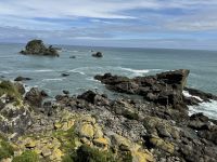 Cape Foulwind  &ndash; &copy; Francisco Javier Burgos Gutierrez (Eberhardt TRAVEL)