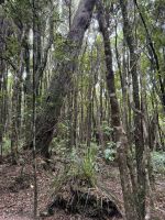 Truman Track &ndash; &copy; Francisco Javier Burgos Gutierrez (Eberhardt TRAVEL)