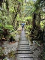 Lake Matheson  &ndash; &copy; Francisco Javier Burgos Gutierrez (Eberhardt TRAVEL)