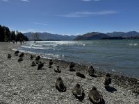 Lake Wanaka  &ndash; &copy; Francisco Javier Burgos Gutierrez (Eberhardt TRAVEL)