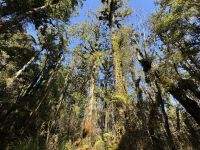 Ship Creek  &ndash; &copy; Francisco Javier Burgos Gutierrez (Eberhardt TRAVEL)