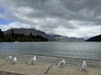 Queenstown  &ndash; &copy; Francisco Javier Burgos Gutierrez (Eberhardt TRAVEL)