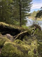 Klepper Track  &ndash; &copy; Francisco Javier Burgos Gutierrez (Eberhardt TRAVEL)
