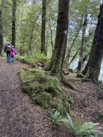 Klepper Track  &ndash; &copy; Francisco Javier Burgos Gutierrez (Eberhardt TRAVEL)