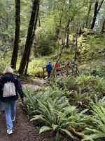 Klepper Track  &ndash; &copy; Francisco Javier Burgos Gutierrez (Eberhardt TRAVEL)