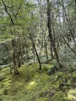 Klepper Track  &ndash; &copy; Francisco Javier Burgos Gutierrez (Eberhardt TRAVEL)