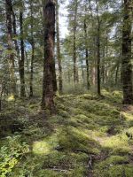 Klepper Track  &ndash; &copy; Francisco Javier Burgos Gutierrez (Eberhardt TRAVEL)