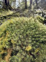 Klepper Track  &ndash; &copy; Francisco Javier Burgos Gutierrez (Eberhardt TRAVEL)