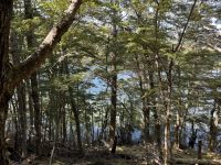 Klepper Track  &ndash; &copy; Francisco Javier Burgos Gutierrez (Eberhardt TRAVEL)