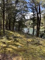 Klepper Track  &ndash; &copy; Francisco Javier Burgos Gutierrez (Eberhardt TRAVEL)
