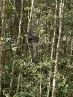 Klepper Track  &ndash; &copy; Francisco Javier Burgos Gutierrez (Eberhardt TRAVEL)