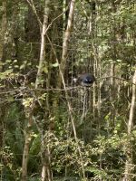 Klepper Track &ndash; &copy; Francisco Javier Burgos Gutierrez (Eberhardt TRAVEL)