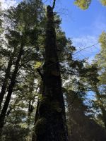 Klepper Track  &ndash; &copy; Francisco Javier Burgos Gutierrez (Eberhardt TRAVEL)