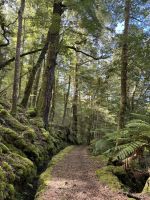 Klepper Track &ndash; &copy; Francisco Javier Burgos Gutierrez (Eberhardt TRAVEL)