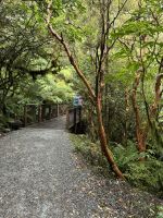 Fiordland  &ndash; &copy; Francisco Javier Burgos Gutierrez (Eberhardt TRAVEL)