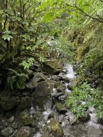 Fiordland  &ndash; &copy; Francisco Javier Burgos Gutierrez (Eberhardt TRAVEL)