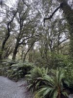 Fiordland  &ndash; &copy; Francisco Javier Burgos Gutierrez (Eberhardt TRAVEL)