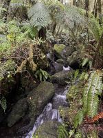 Fiordland  &ndash; &copy; Francisco Javier Burgos Gutierrez (Eberhardt TRAVEL)
